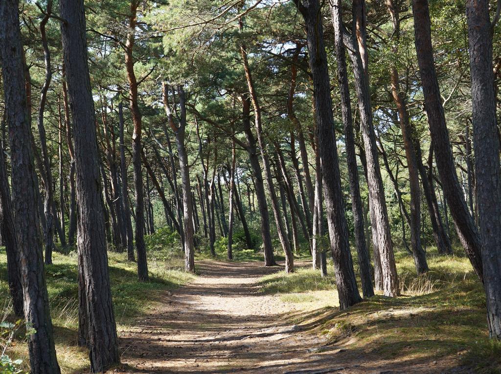 Anandaresort - Vegewakacje Władysławowo Esterno foto