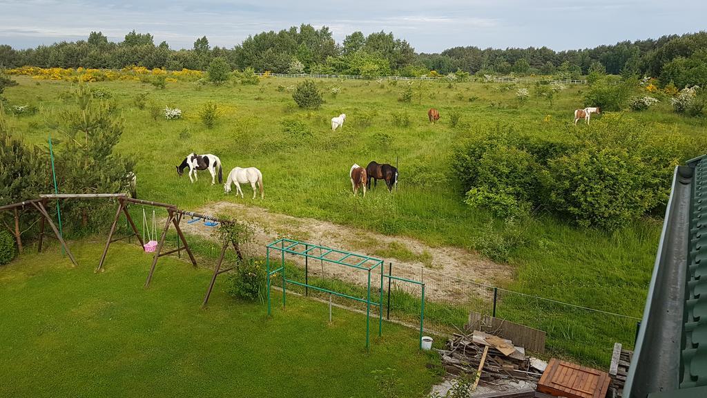 Anandaresort - Vegewakacje Władysławowo Esterno foto